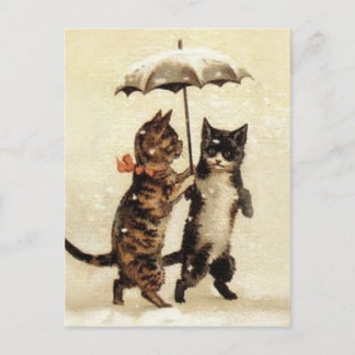 Twee katten één umbrella briefkaart