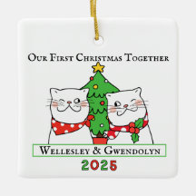 Twee katten eerste kerst samen