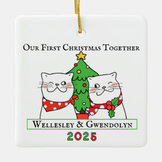 Twee katten eerste kerst samen keramisch ornament