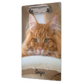 Twee katten foto klembord (Links)