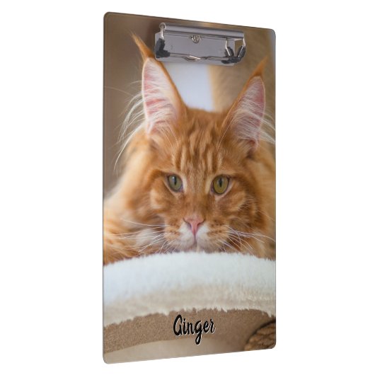 Twee katten foto klembord (Rechts)