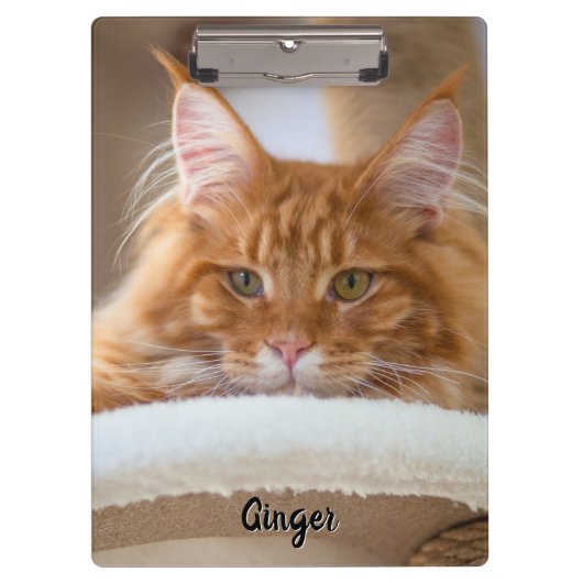 Twee katten foto klembord (Voorkant)