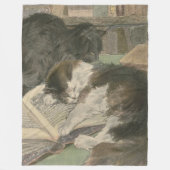 Twee katten in de deken van de bibliotheek (Voorkant)