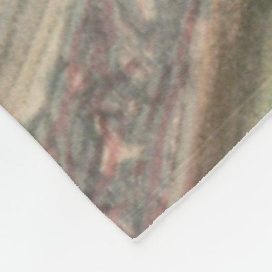 Twee katten in de deken van de bibliotheek (Hoek)