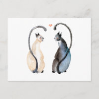 Twee katten in liefde