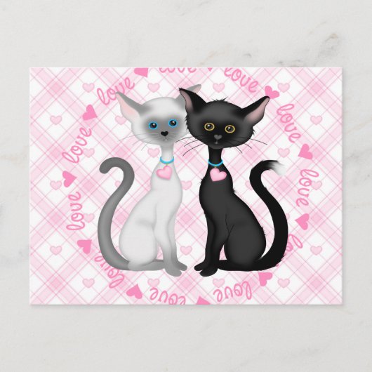 Twee katten in liefde briefkaart (Voorkant)