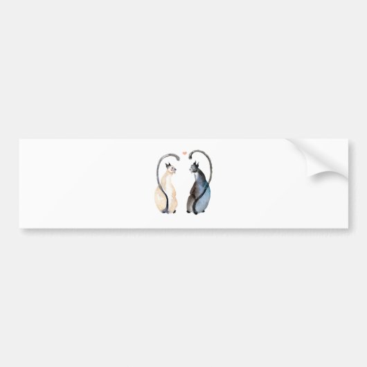 Twee katten in liefde bumpersticker (Voorkant)