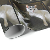 Twee katten in liefde cadeaupapier (Rol Hoek)