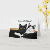 Twee katten in liefde kaart (Gele Bloem)