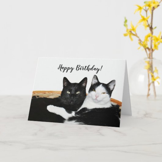 Twee katten in liefde kaart (Gele Bloem)