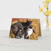 Twee katten in liefde Wenskaart Kaart (Gele Bloem)