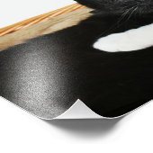 Twee katten in liefdesfoto-Prints Foto Afdruk (Hoek)