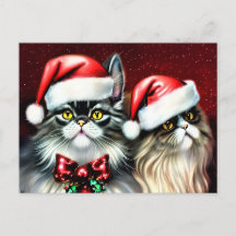 Twee katten in Santa Hat