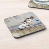 Twee katten in stenen stappen bier onderzetter (Linkerzijde)