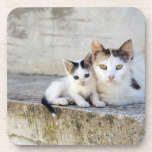Twee katten in stenen stappen bier onderzetter