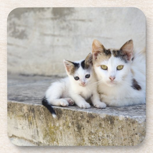 Twee katten in stenen stappen bier onderzetter (Voorkant)