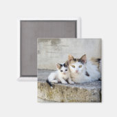 Twee katten in stenen stappen magneet (Voorkant / Achterkant)