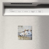Twee katten in stenen stappen magneet (Insitu (Vaatwasser))