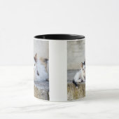 Twee katten in stenen stappen mok (Midden)