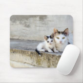 Twee katten in stenen stappen muismat (Met muis)