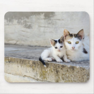 Twee katten in stenen stappen muismat