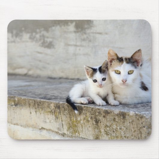 Twee katten in stenen stappen muismat (Voorkant)