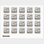 Twee katten in stenen stappen vierkante sticker (Vel)