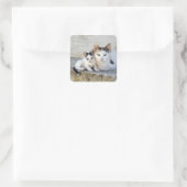 Twee katten in stenen stappen vierkante sticker (Tas)