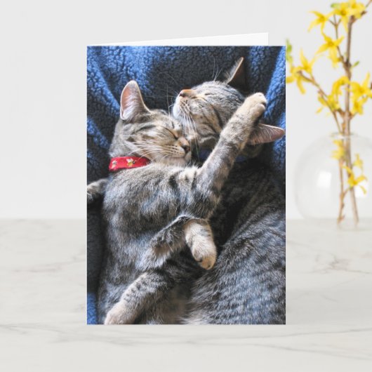 Twee Katten Kaart (Gele Bloem)