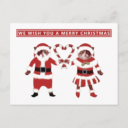 Twee Katten Kerstkaarten Briefkaart (Voorkant)