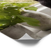 Twee katten kijken uit het raam muur kunst poster (Hoek)