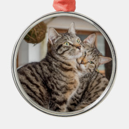 Twee katten knuffelen metalen ornament