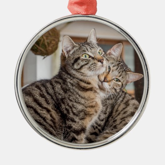 Twee katten knuffelen metalen ornament (Voorkant)