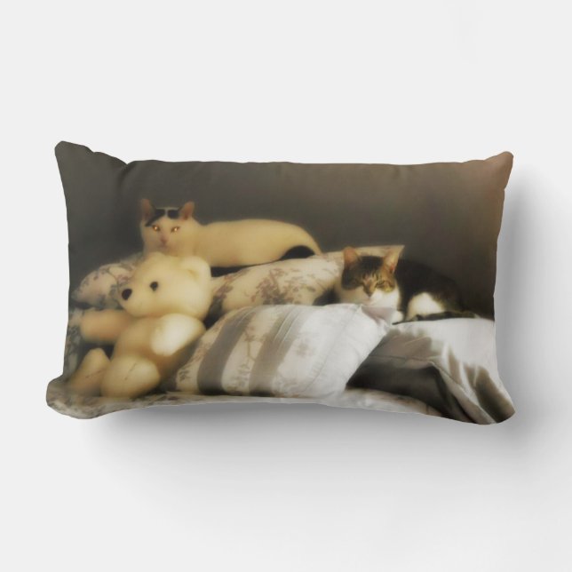 Twee katten met opgezette teddybeer kussen (Voorkant)