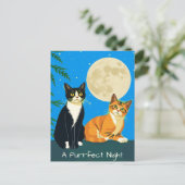 Twee katten onder de volle maan briefkaart (Staand voorkant)