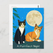 Twee katten onder de volle maan briefkaart (Voorkant / Achterkant)