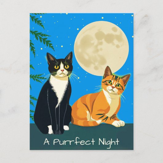 Twee katten onder de volle maan briefkaart (Voorkant)