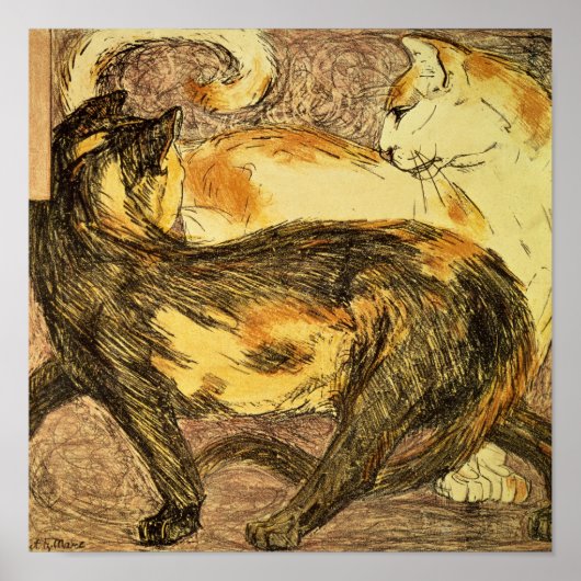 Twee katten poster (Voorkant)