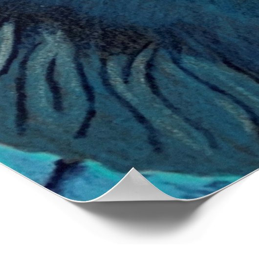 Twee katten poster (Hoek)