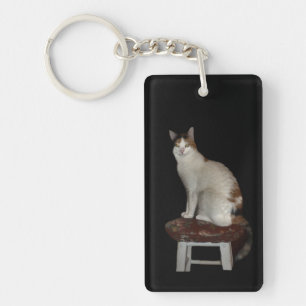 Twee katten sleutelhanger