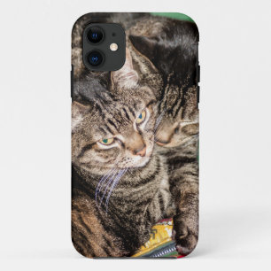 Twee katten smokkelen iPhone 11 hoesje