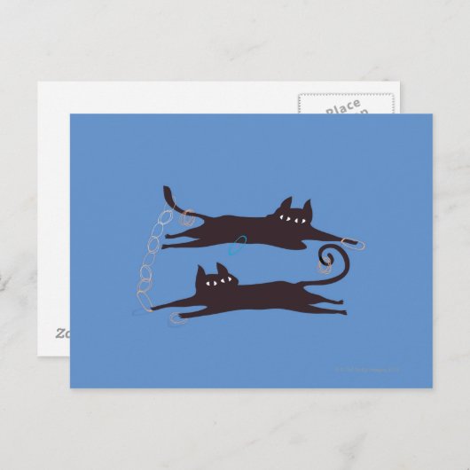 Twee katten spelen briefkaart (Voorkant / Achterkant)