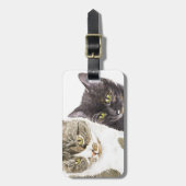 Twee katten - tabby en tortie bagagelabel (Voorkant verticaal)