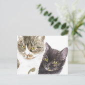 Twee katten - tabby en tortie briefkaart (Staand voorkant)