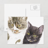 Twee katten - tabby en tortie briefkaart (Voorkant / Achterkant)