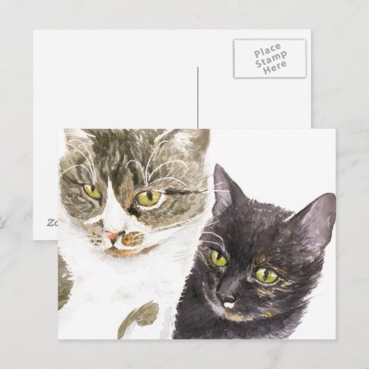 Twee katten - tabby en tortie briefkaart (Voorkant / Achterkant)