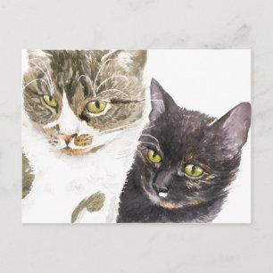 Twee katten - tabby en tortie briefkaart