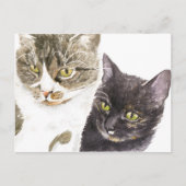 Twee katten - tabby en tortie briefkaart (Voorkant)