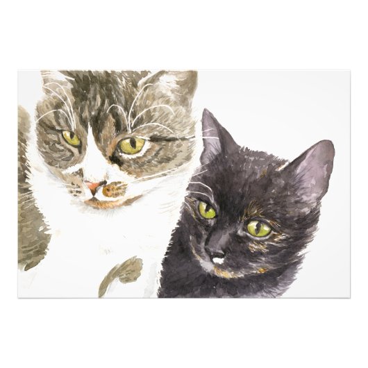Twee katten - tabby en tortie foto afdruk (Voorkant)