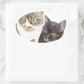 Twee katten - tabby en tortie ovale sticker (Tas)